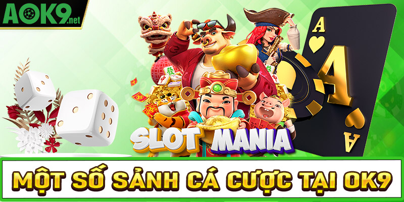 Điểm qua một số sảnh cá cược thể thao OK9 được ưa chuộng nhất